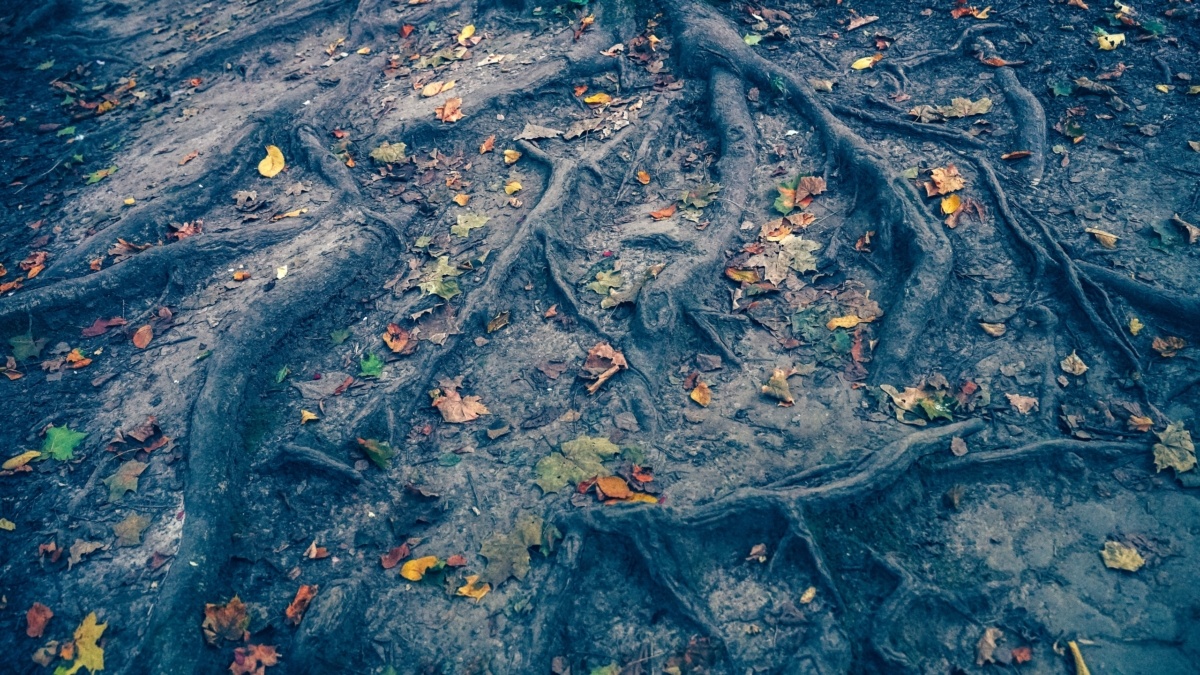 Светлана Мулыкина📷
