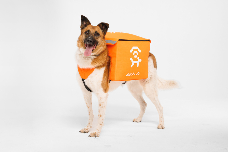 Фото: lai-fi.com