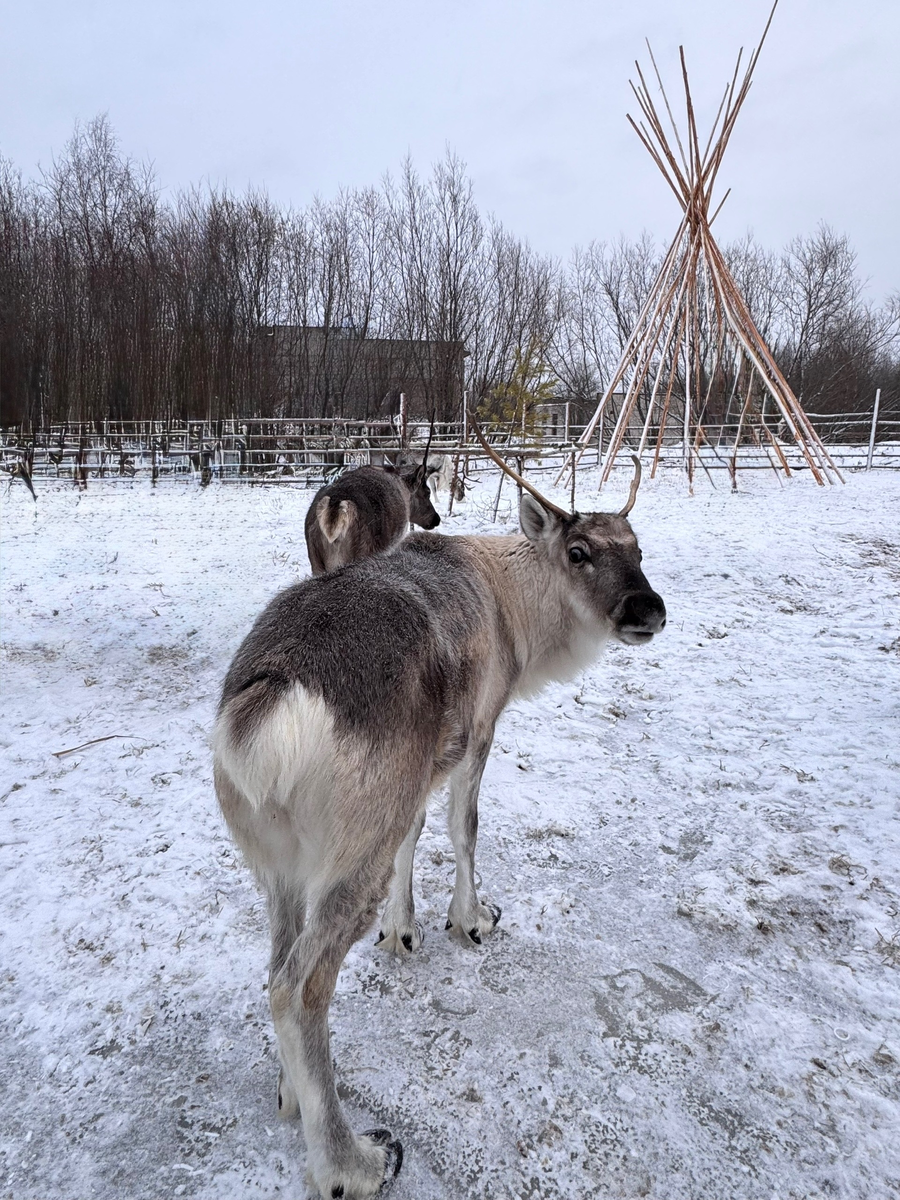 Фото автора 