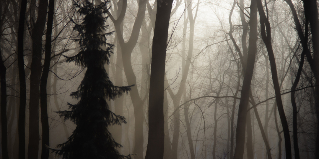 Суперлуние 5 декабря 2025: что можно и нельзя — как превратить слова в оберег, а не в проклятие