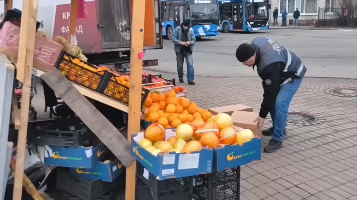    Фото: t.me/kkispb