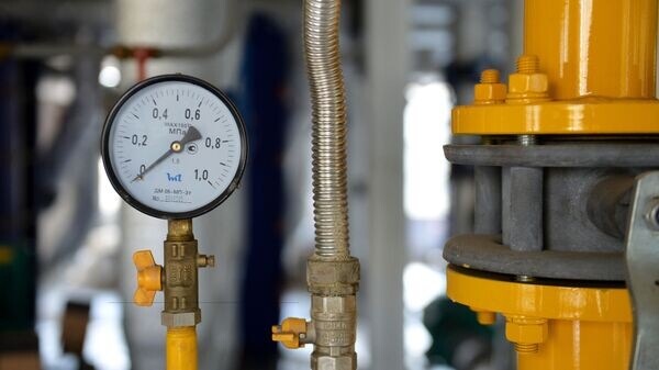    © РИА Новости . Павел Лисицын