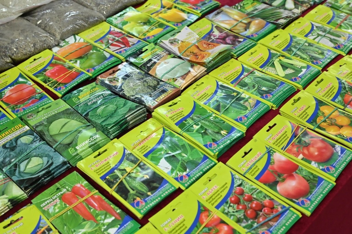    Фото: Анастасия Сибирякова