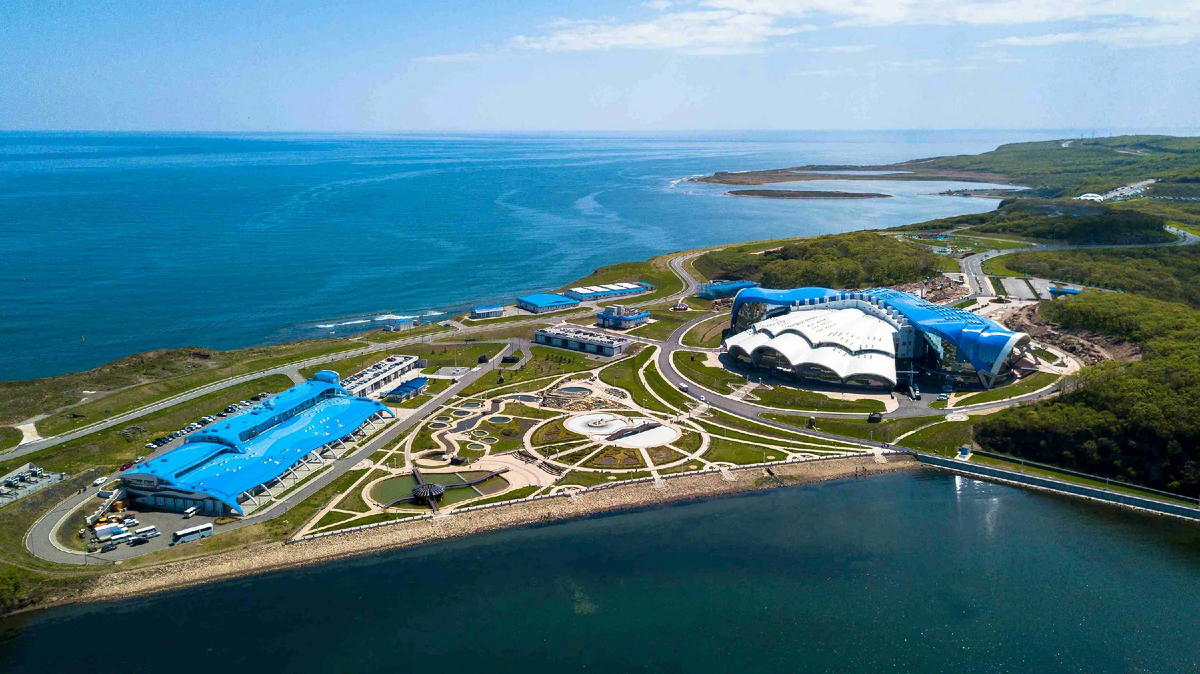 Обзорный вид на полуостров Житкова. Фото из открытых источников