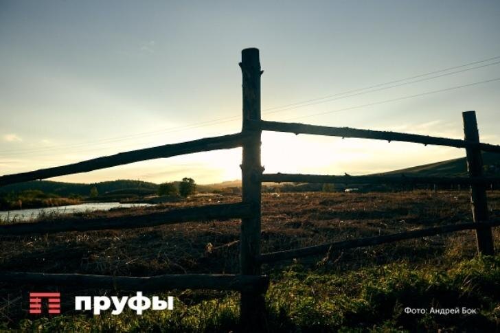    Фото: Пруфы