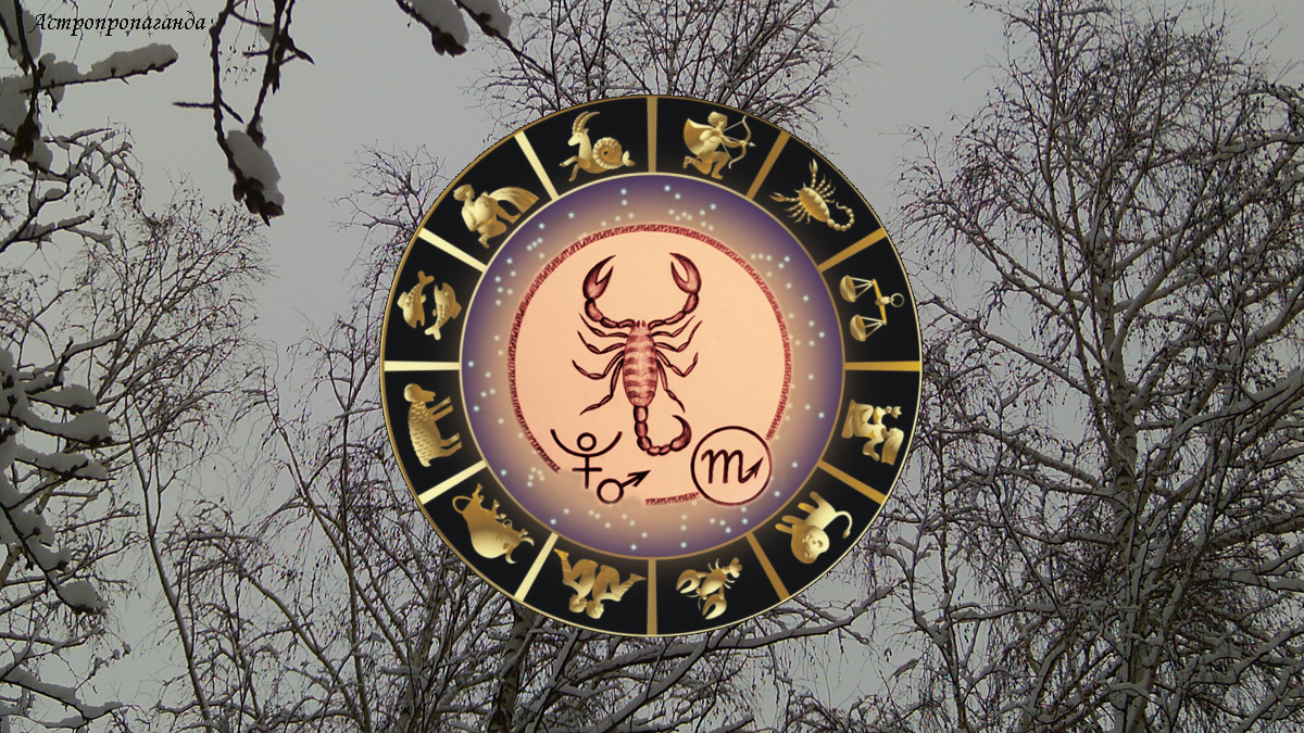 Гороскоп для Скорпиона с 1 по 28 декабря 2025.