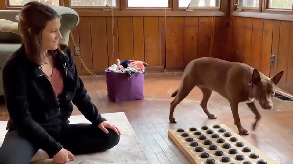 ФОТО: Кадр программы "Тайны Чапман", РЕН ТВ