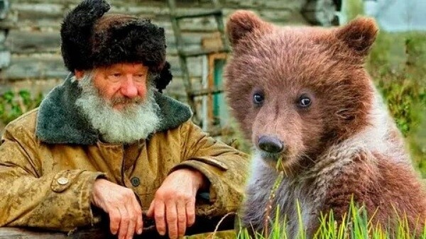 Фото из Яндекса