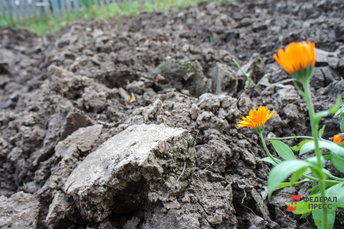 Депутаты обсудили сферу сельского хозяйства.  Фото: Фото: ФедералПресс / Елена Майорова