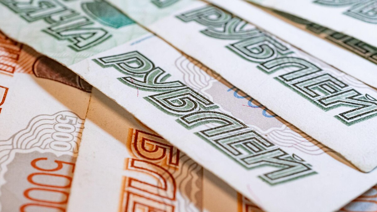    Фото: Oleg Spiridonov/globallookpress.com