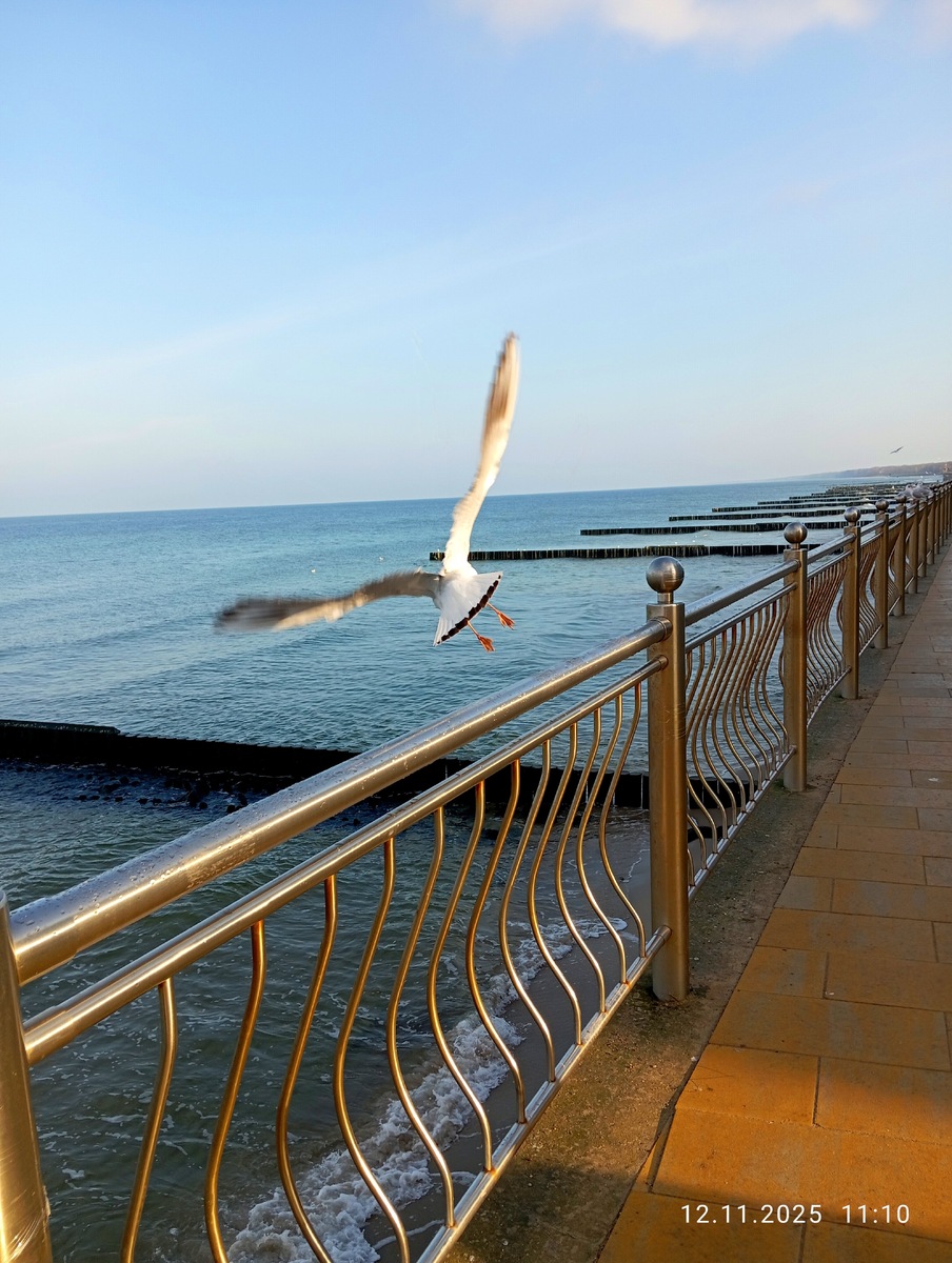 С погодой очень повезло.