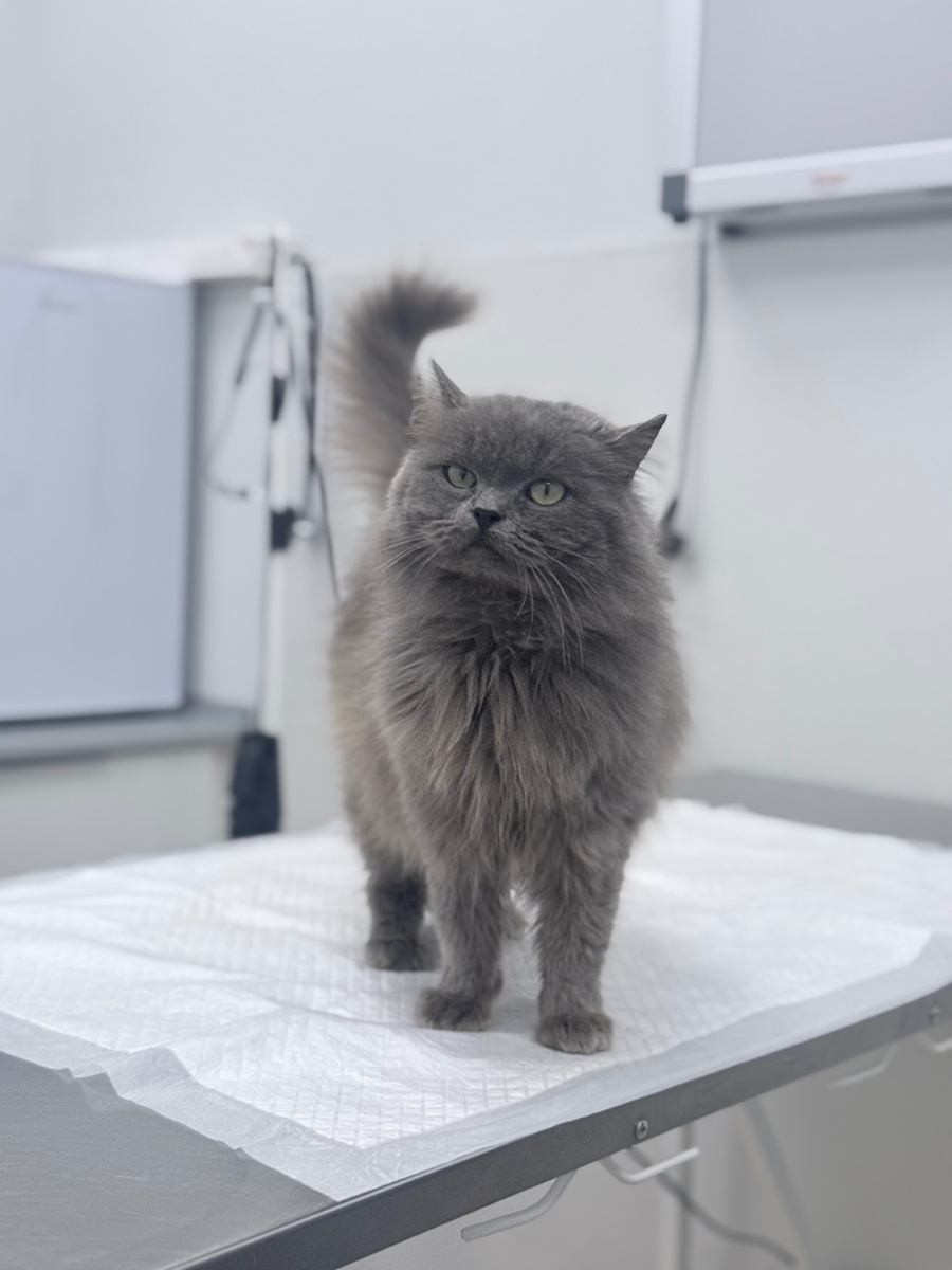 В стационаре ♥️