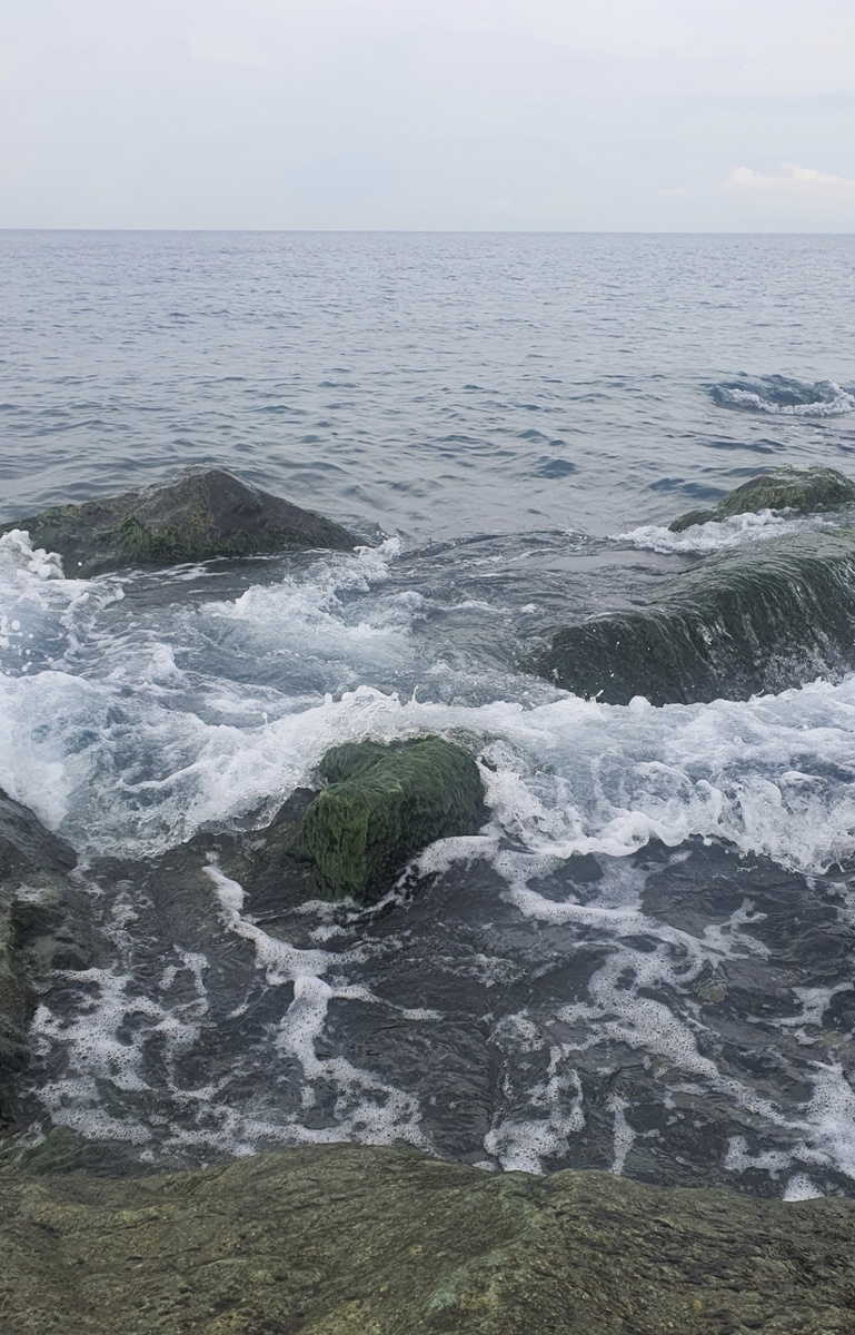 Фото из личного архива, Чёрное море