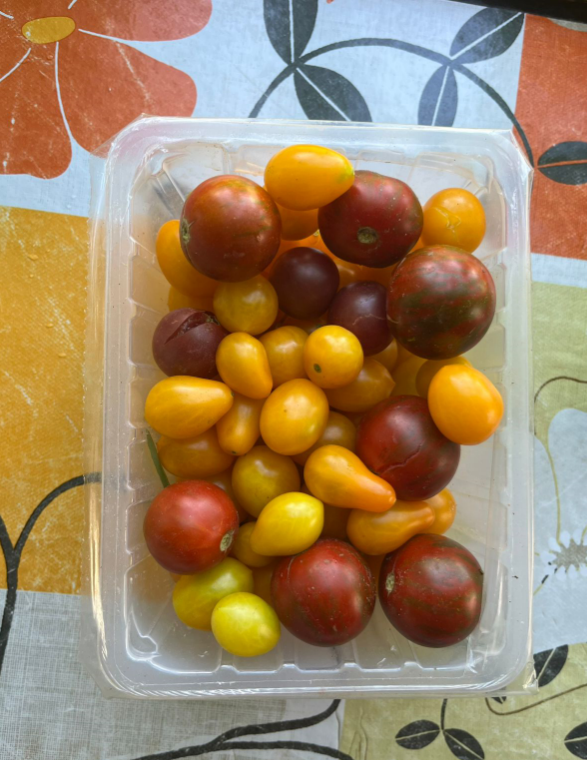 Кусочек лета