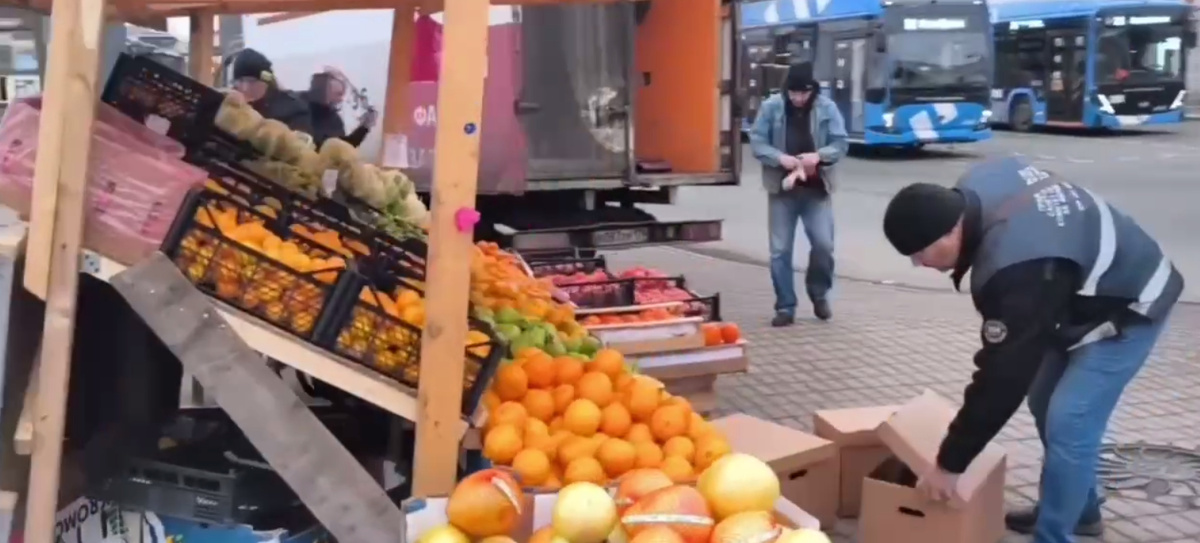 Фото: кадр видео пресс-службы ККИ Петербурга