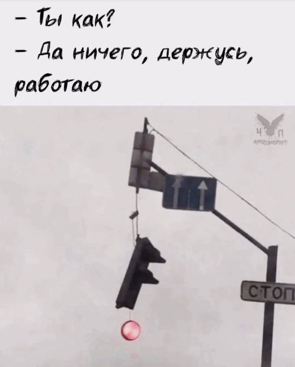 Картинка из интернета