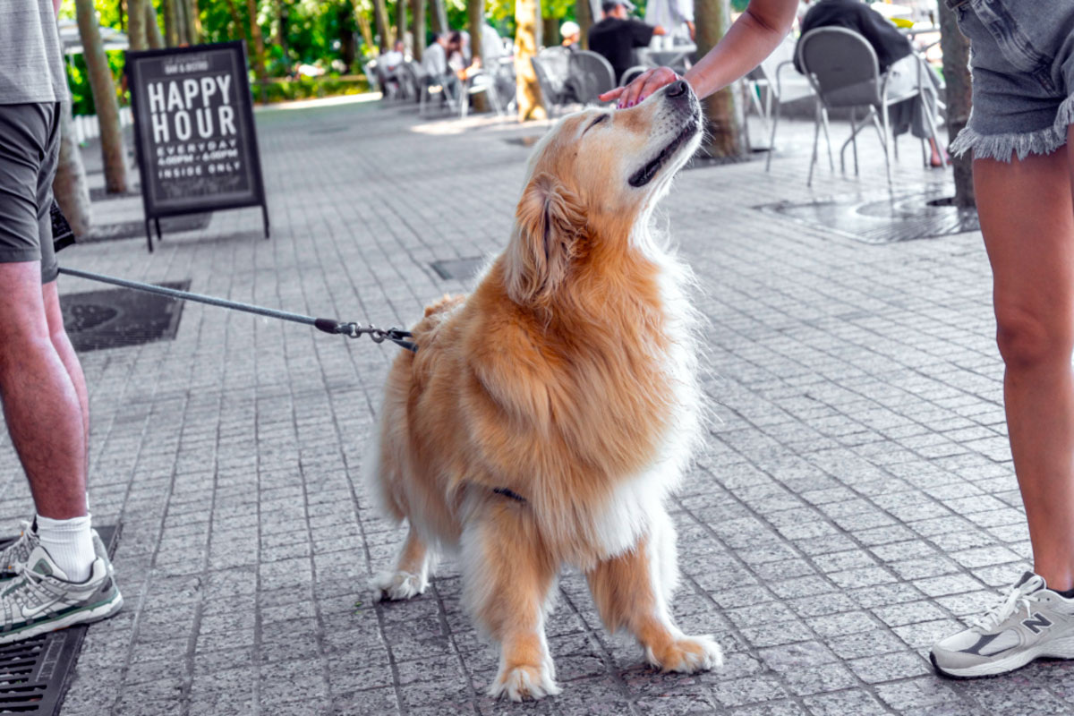 Когда мозг лишён внешнего социального взаимодействия, он пытается создать его внутри себя