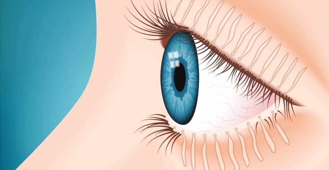 Изображение из Яндекс картинки 