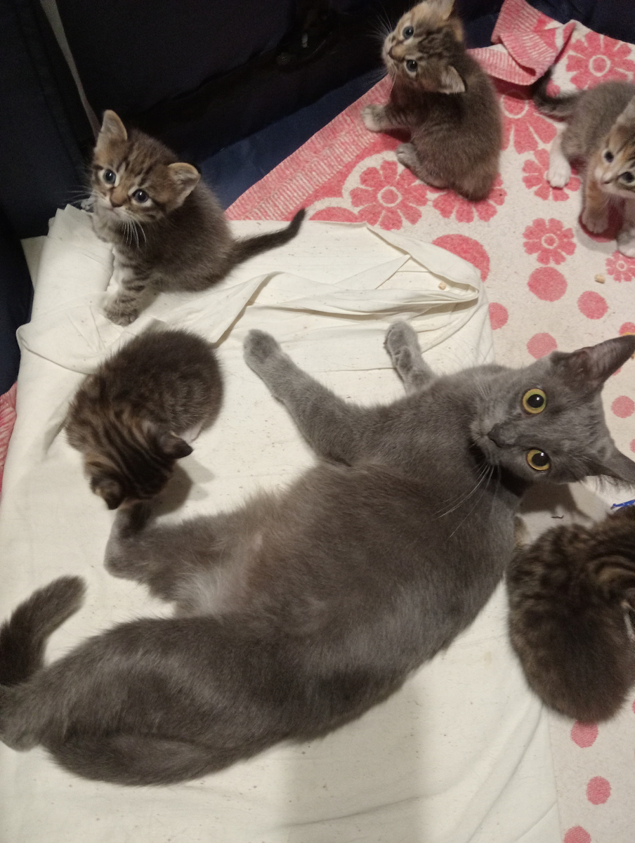 Помните совсем недавно были вот такие сладкие мордашки!