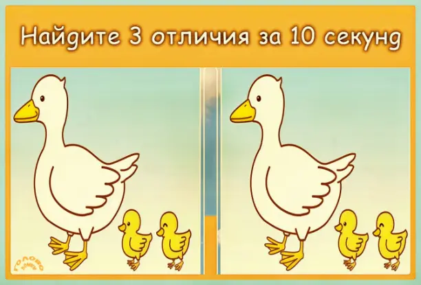 Утиный детектив: найди 3 отличия за 10 секунд!