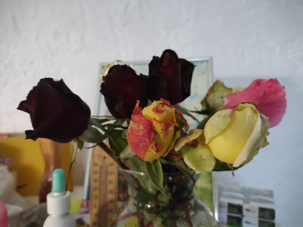 Новый букетик. Посмотрим, откроются или нет )) Но аромат в доме шикарный!