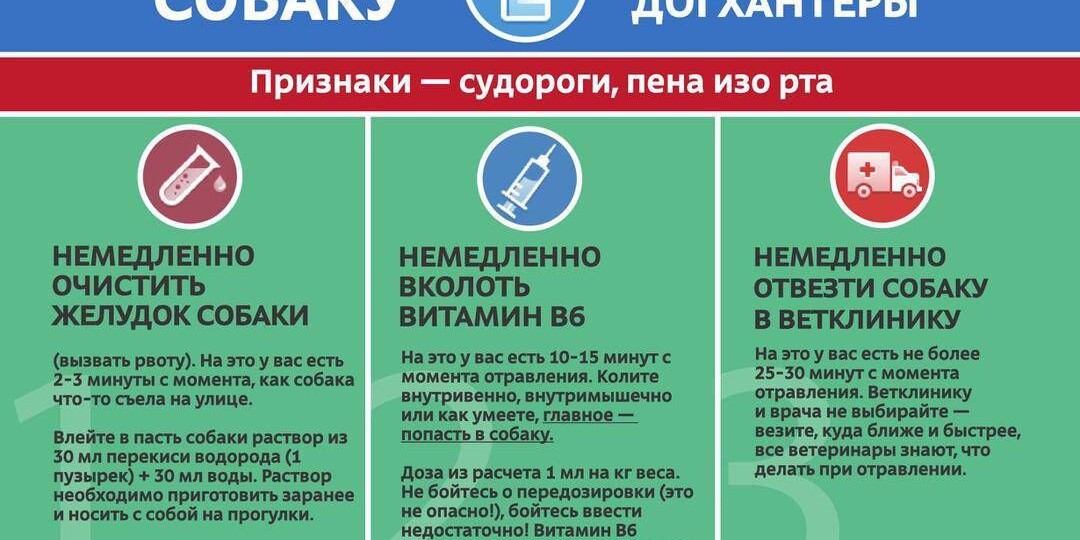 Почему догхантерство - плохая идея