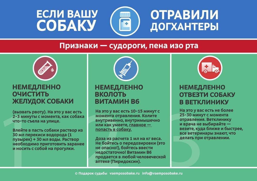 Картинка с просторов Интернета.