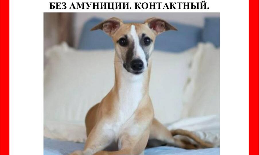 📍МО, Балашиха, Мкрн