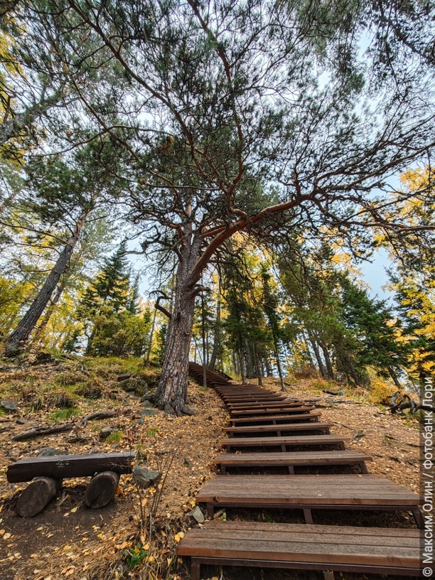 Экологические тропы Алтая. Манжерок
