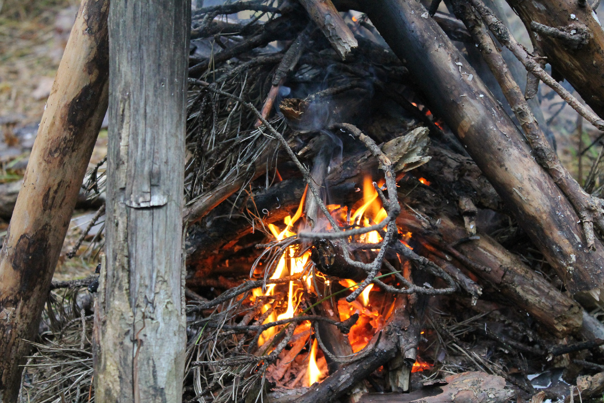 Фото сделанное мной.