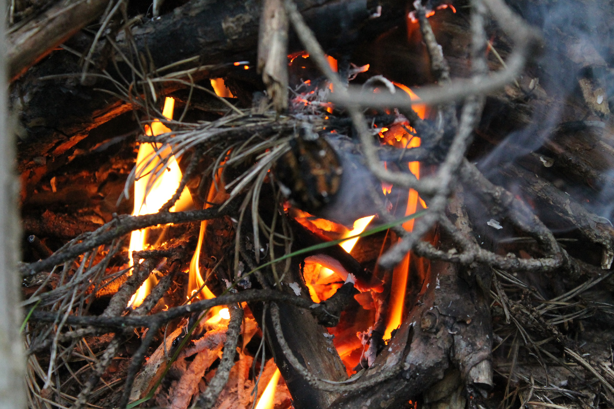 Фото сделанное мной.