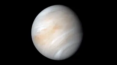 рис. 2. Венера. Источник: НАСА/Лаборатория реактивного движения.