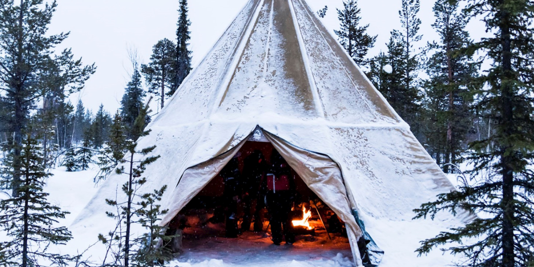 Почему северяне используют мокрые дрова вместо сухих?