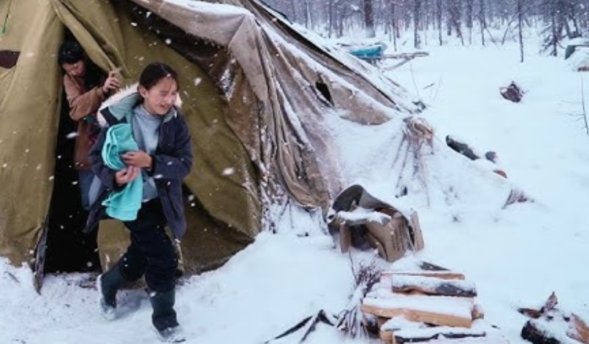 Вон они под снегом