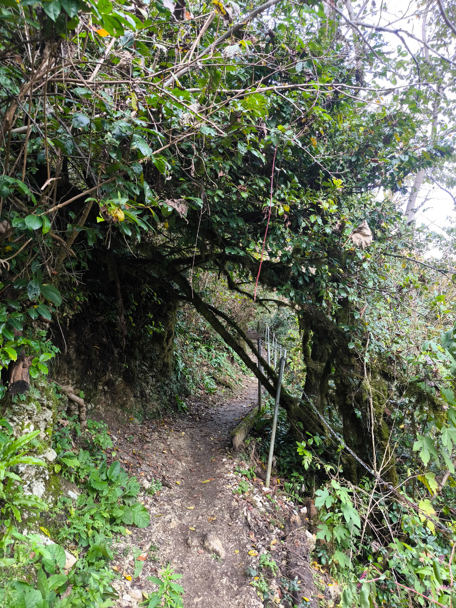 Все будет хорошо! Я узнавала. 