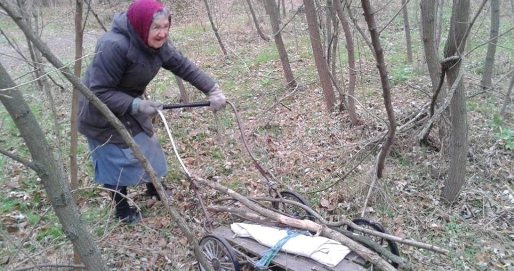 Разрешили, но радоваться рано: в чем подвох сбора валежника на Урале, из-за которого даже бабулька может превратиться в уголовника
