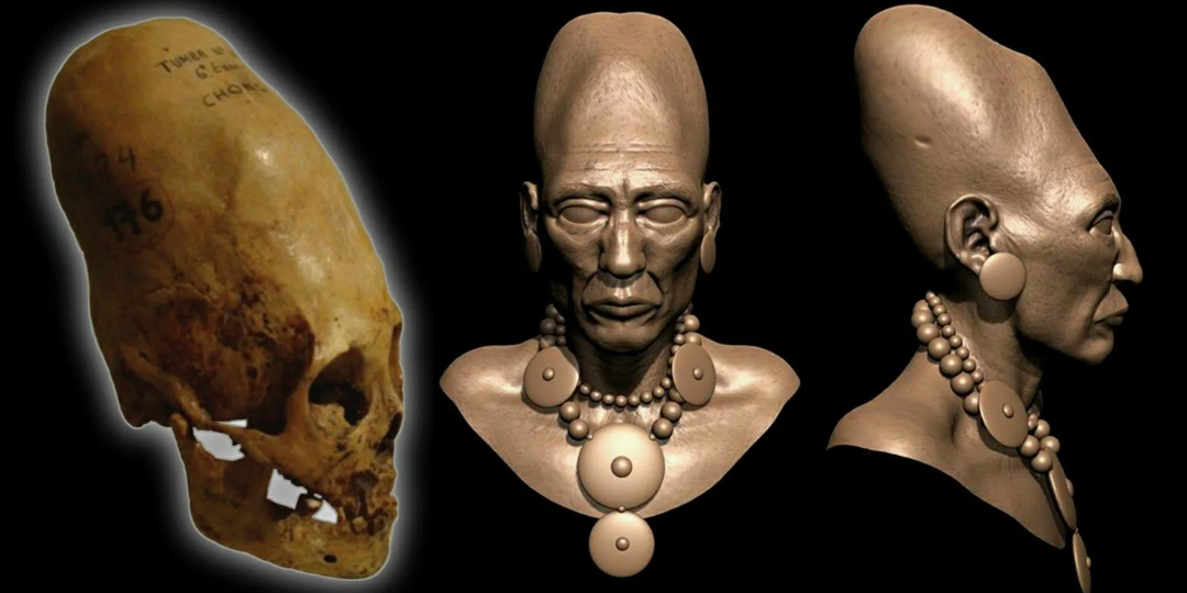 Аномальные черепа Паракаса: что показали измерения и почему учёные требуют нового анализа