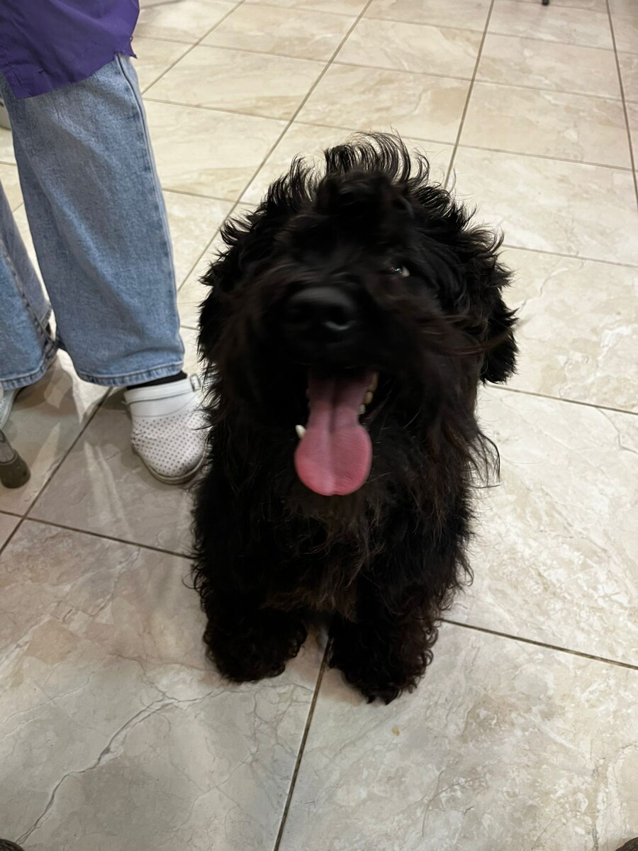 "Постирали"