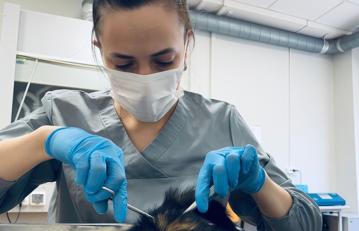    Ученые провели первое в России исследование, проследившее динамику изотопного состава углерода у диких животных за 100 лет.