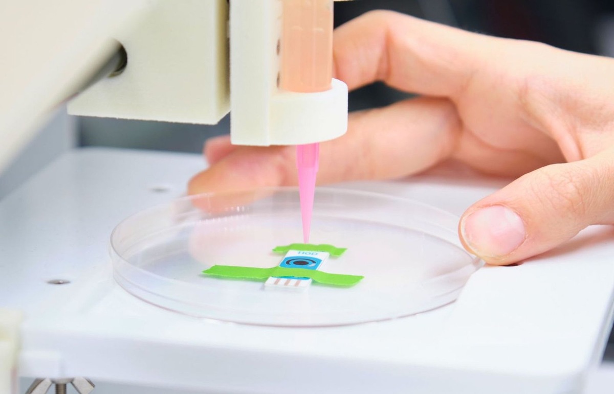    Новая платформа позволяет ученым и студентам моделировать условия жизнеспособности клеток еще до начала лабораторных экспериментов.