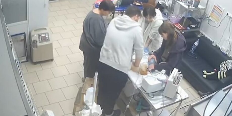    Фото: Москва 24