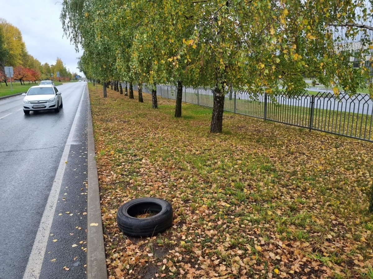 Фото: МУП "ПАД"