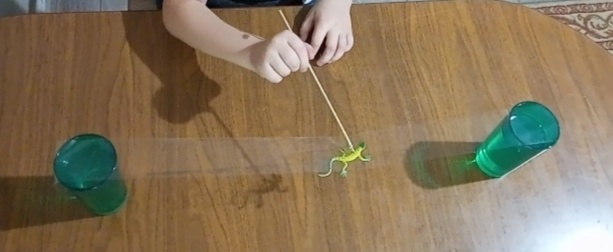 Фото автора канала 