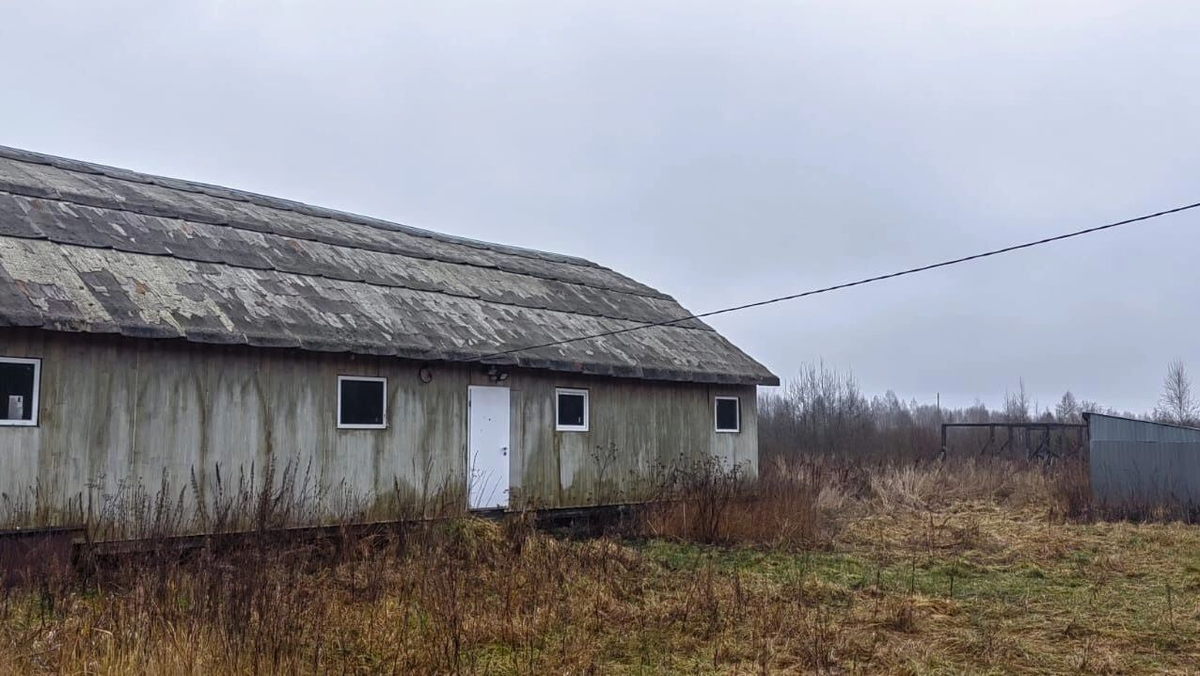 Ферма мечты Владислава Красина. Фото: Владислав Красин. newizv.ru