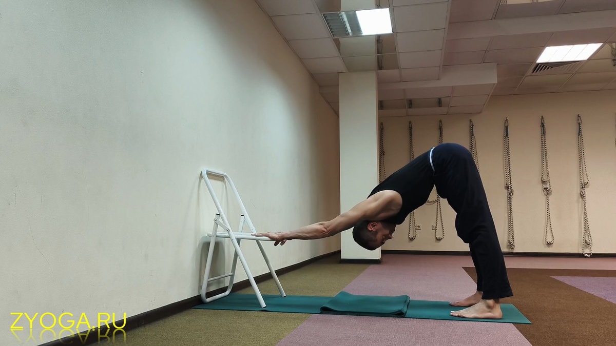 Собака мордой вниз на стуле для йоги Айенгара / Downward-facing dog on the Iyengar Yoga chair
