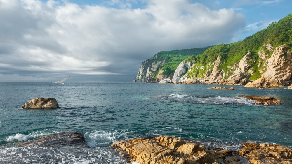     Фото: Nickolai Repnitskii/Shutterstock/FOTODOM