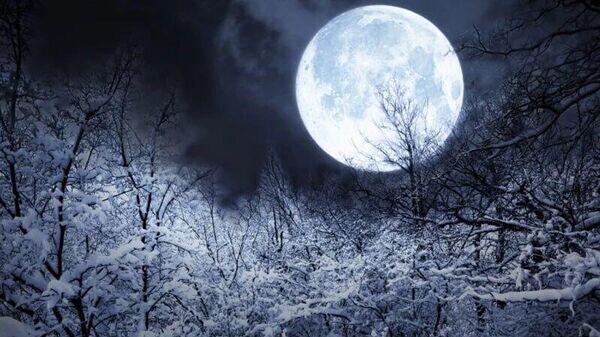    © Photo : Telegram / Лаборатория солнечной астрономии (XRAS)