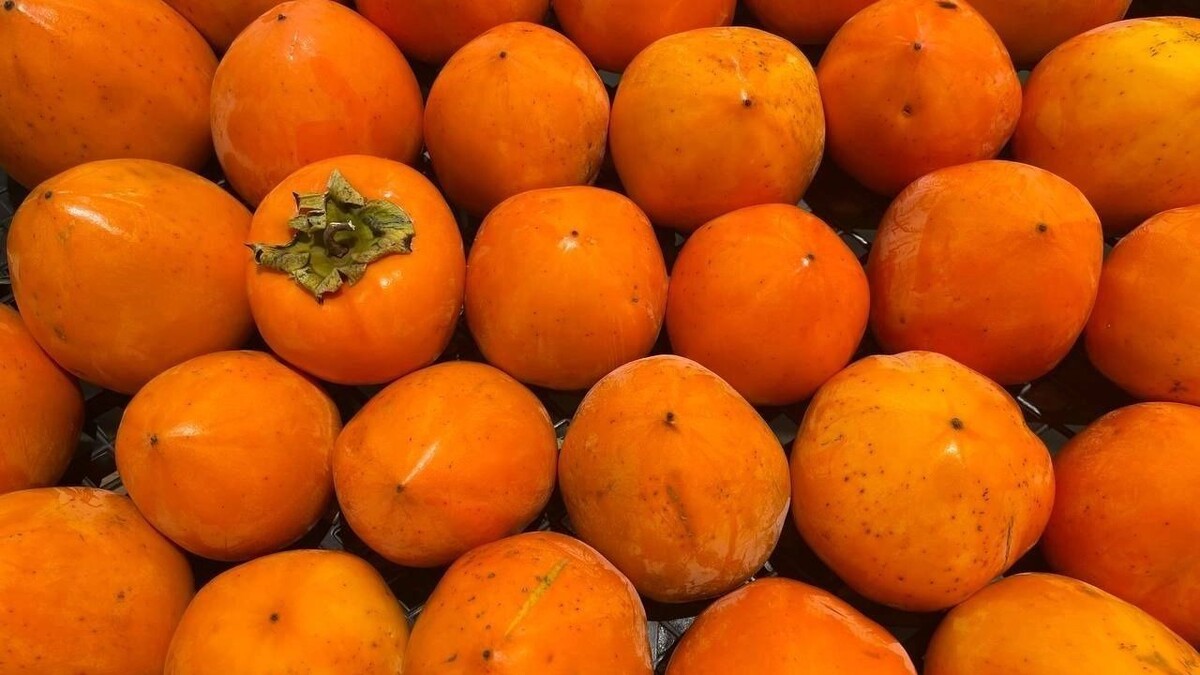     Источник: novostivolgograda.ru