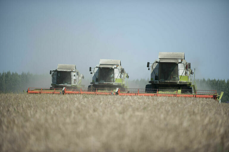   Юрий Инякин/«Парламентская газета»