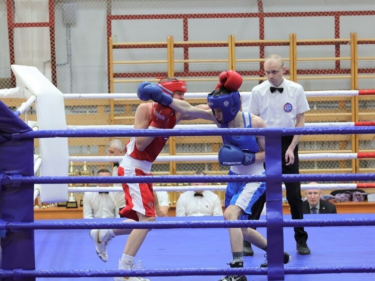     Фото: телеграм-канал администрации Выборгского района.